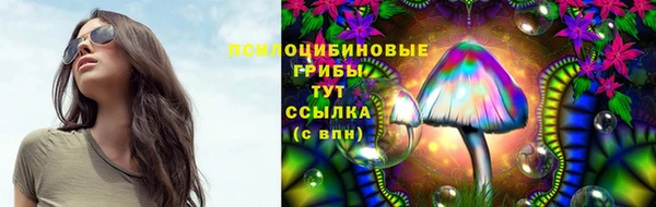 МДПВ Арсеньев