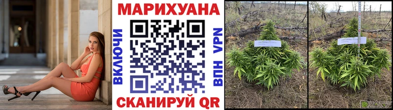 купить закладку  Урай  Бошки марихуана LSD WEED 